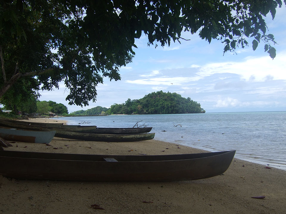 Boats on the beach in Melanesia - Archives